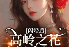 (全文)闪婚后,高岭之花人设崩塌了(苏酥)试读更新章节闪婚后,高岭之花人设崩塌了免费小说-冰糖文学