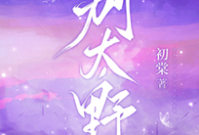 (全文)别太野(许意浓)全本书籍阅读别太野免费小说全本-冰糖文学