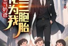 (全文)毕业当奶爸：校花为我生了三胞胎（顾琛）免费小说毕业当奶爸：校花为我生了三胞胎试读更新章节-冰糖文学