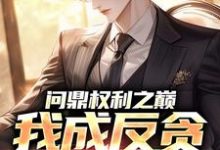 (全文)问鼎权利之巅，我成反贪第一人热门小说排行榜，问鼎权利之巅，我成反贪第一人方晓倩全章小说阅读-冰糖文学