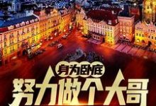 身为卧底，努力做个大哥不过分吧推荐完结小说身为卧底，努力做个大哥不过分吧(白舟)免费小说全本-冰糖文学