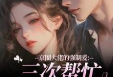 陈盏京圈大佬的强制爱：三次帮忙要我偿全本免费在线阅读-冰糖文学