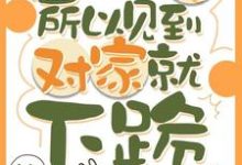 (全文)因为太怂所以见到对家就下跪叶暮小说推荐，因为太怂所以见到对家就下跪全章小说阅读-冰糖文学