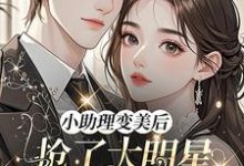 (全文)小助理变美后，抢了大明星的金主热门小说排行榜，小助理变美后，抢了大明星的金主苏浅浅顾承聿全章小说阅读-冰糖文学