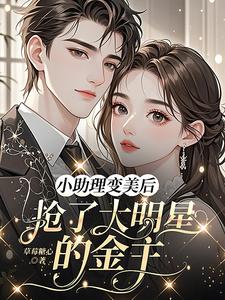 (全文)小助理变美后，抢了大明星的金主热门小说排行榜，小助理变美后，抢了大明星的金主苏浅浅顾承聿全章小说阅读
