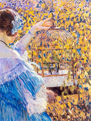 离婚后，我登顶文娱巅峰苏浩任琪琪小说在线章节目录阅读最新章节