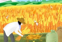 凤归现代(萧明凰齐晟)在线免费阅读-冰糖文学